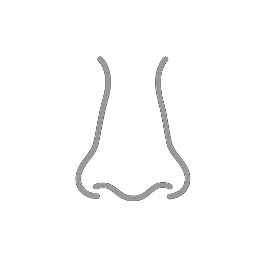 Nose 1