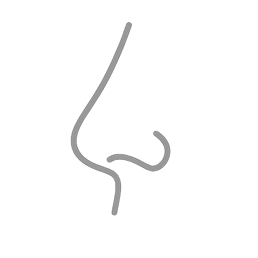 Nose 2