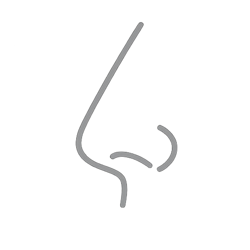 Nose 3